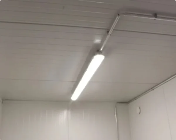 Contentor refrigerado de 10 pés